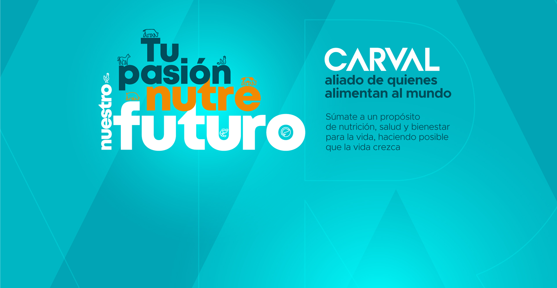 Universidades | Carval