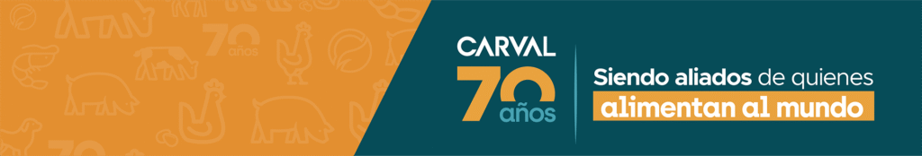 Carval System Somos carval | Carval