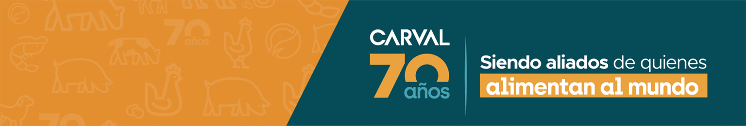 Carval System Somos carval | Carval